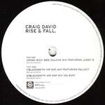 Craig David - Rise & Fall - Wildstar Records - UK Garage