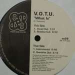 Voice Of The Underground - What Is - Empire State Records - Deep House