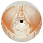Subnerve - White Scale / Grey Scale - Cybertronic Records - Trance