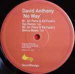 David Anthony - No Way - Sound Design - US House