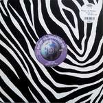 Move & Motion - Music Vs. Emotion EP - Zebra Records  - Progressive