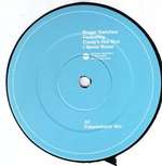 Roger Sanchez - I Never Knew - INCredible - Progressive