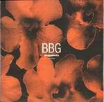 BBG - Snappiness (Remix) - Urban  - Ambient 