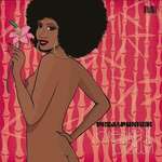 Petalpusher - Breakin' It Down - Naked Music Recordings - Deep House