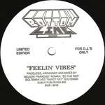Feelin' Vibes - Feelin' Vibes - Bottom Line Records - US House