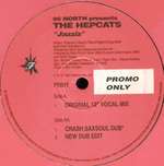 95 North & The Hepcats - Jazziz - Freetown Inc - House