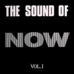 The Sound Of Now - Vol. 1 - Stealth Records - Hardcore