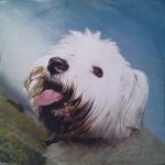 Moloko - Sing It Back - Echo - UK House