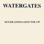 Watergates - Never Gonna Give You Up - Bump 'N' Hustle - House