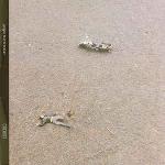 GusGus - Polyesterday - 4AD - Break Beat