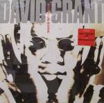 David Grant - The Anxious Edge - 4th & Broadway - Break Beat