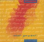 Xpansions - What You Want - Arista - Deep House