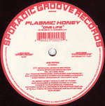 Plasmic Honey - One Life - Sporadic Groove - US House