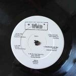 Various - Vol 13 - The White - Folk