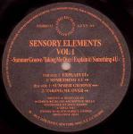 Sensory Elements - Vol 1 - Azuli Records - Deep House