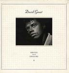 David Grant - Hopes And Dreams - Chrysalis - Soul & Funk
