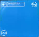 Extension 119 - Flood Of Heaven - Moonshine - US House