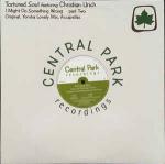 Tortured Soul - I Might Do Something Wrong (Pt II) - Central Park Recordings - US House