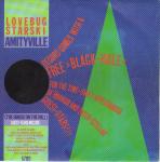 Lovebug Starski - Amityville (The House On The Hill) - Epic - Electro