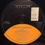 Teddy Pendergrass - Joy - Asylum Records - Soul & Funk