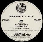 Secret Life - As Always - Cowboy Records - House
