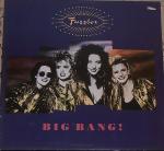 We've Got A Fuzzbox And We're Gonna Use It - Big Bang! - WEA - Synth Pop