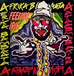 Afrika Bambaataa - Feeling Irie - DFC - Tech House