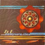 BT - Embracing The Sunshine - Perfecto - Progressive