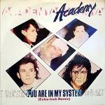 Academy - You Are In My System - RCA - Synth Pop
