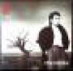 Nik Kershaw - The Riddle - MCA Records - Synth Pop