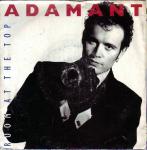 Adam Ant - Room At The Top - MCA Records - Rock