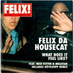 Felix Da Housecat - What Does It Feel Like? - City Rockers - Electro Clash