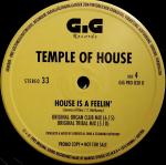 Temple Of House - House Is A Feelin' - GiG Records - House