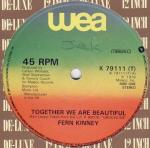 Fern Kinney - Together We Are Beautiful / Baby Let Me Kiss You - WEA - Soul & Funk