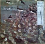 Various - A Sound Guide To Waders In Britain - BBC Records And Tapes - Soundtracks