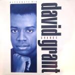 David Grant - Change (Alternate Mix) - Polydor - Down Tempo