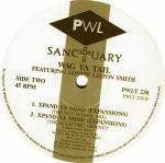 Wag Ya Tail & Lonnie Liston Smith - Xpand Ya Mind (Expansions) - PWL Sanctuary - UK House