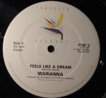 Kit Rolfe & Marianna - One More Hurt / Feels Like A Dream - Fantasia Records - Synth Pop