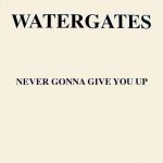 Watergates - Never Gonna Give You Up - Bump N Hustle Music - UK House