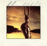 Robert Palmer - Some Guys Have All The Luck - Island Records - Rock