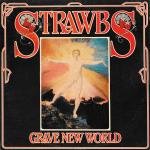Strawbs - Grave New World - A&M Records - Prog Rock