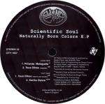 Scientific Soul - Naturally Born Colors EP - Swing City Records - UK House