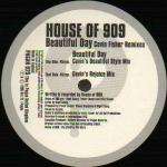 House Of 909 - Beautiful Day - Pagan - UK House
