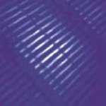 Gentleman Thief - Havana Twilight - Paper Recordings - UK House