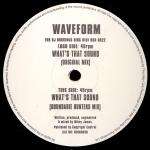 Waveform - What's That Sound - Thursday Club Recordings (TCR) - Break Beat