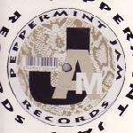 Boris Dlugosch & RÃ³isÃ­n Murphy - Never Enough - Peppermint Jam - House