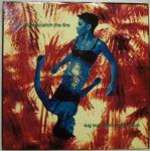 Drizabone - Catch The Fire - Fourth & Broadway - Acid House