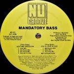 Mandatory Bass - Got Me Groovin - Nu Groove - US House