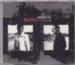 Raw Stylus - Believe In Me - Wired Recordings - Down Tempo