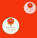 RenÃ© Et Gaston - VallÃ©e De Larmes - Fresh Fruit Records - House